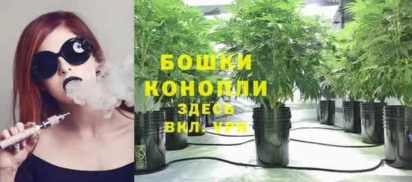 прущий лед Абаза